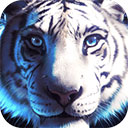野生老虎模拟器v2.0.1