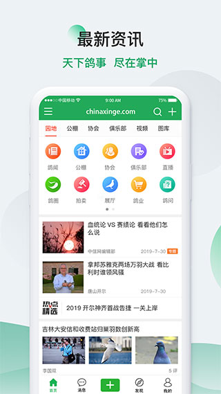 中国信鸽信息网app1