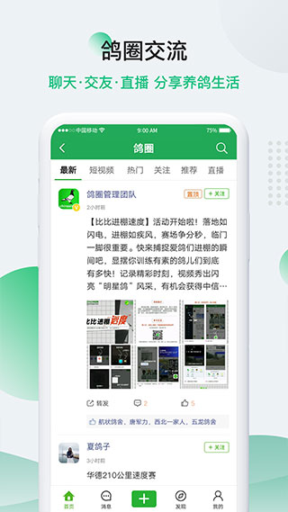 中国信鸽信息网app2