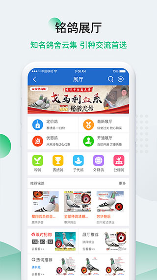 中国信鸽信息网app3