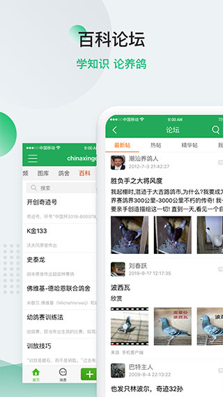 中国信鸽信息网app5