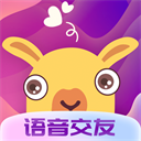 哩咔语音直播交友平台APP