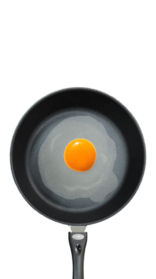 FriedEgg4