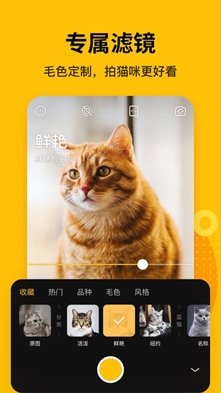 爪叽app3