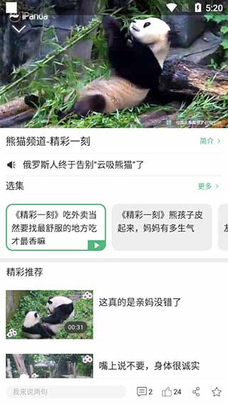熊猫频道app4